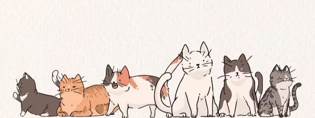 シェルミさんの壁紙画像