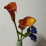 あじからすさんのアイコン画像