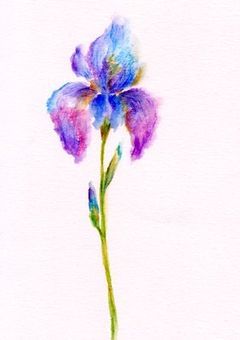 Lust journey of life  ~人生最後の旅~