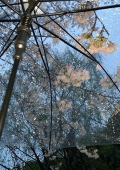 Why do you love me .