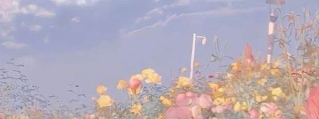 くきさんの壁紙画像