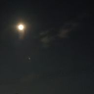 ルプスさんのアイコン画像