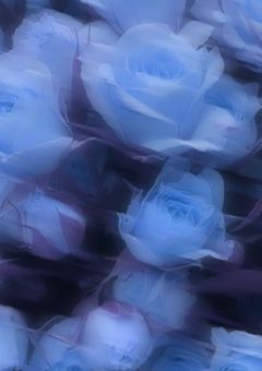 主人公が変態すぎる件について￤Los