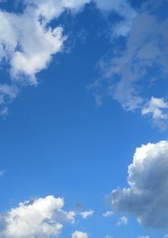 　　雑 談