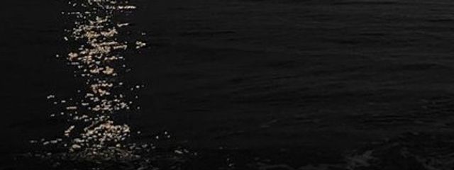 sonaさんの壁紙画像