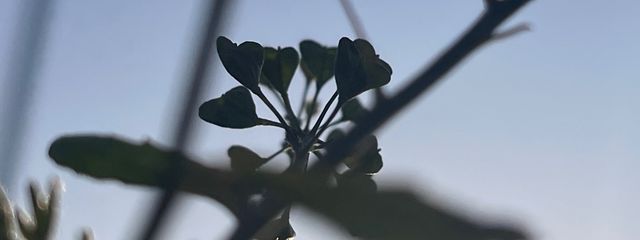 宮瀬さんの壁紙画像