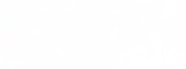 ミジンコGさんの壁紙画像