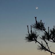 凪咲 宵さんのアイコン画像