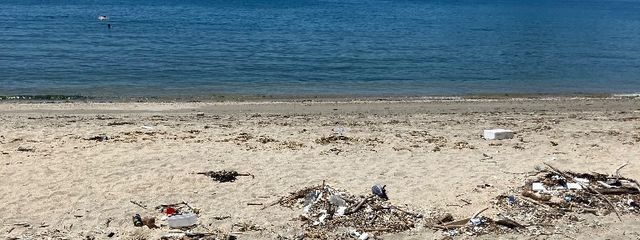 なーさんの壁紙画像