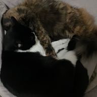 なーさんのアイコン画像