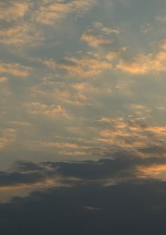 🏷️ 関係募集 ~ 