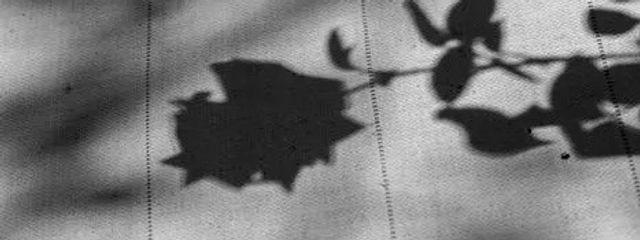 りょうさんの壁紙画像