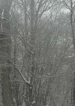 ディズニー話がしたい！！