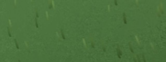 (　˙-˙　)さんの壁紙画像