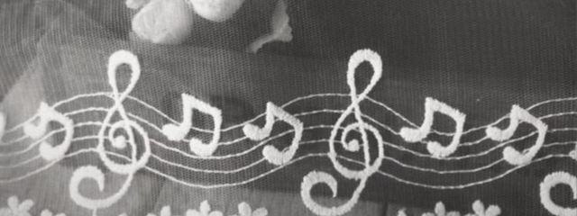 sᴜɪさんの壁紙画像