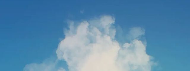 朱雀さんの壁紙画像