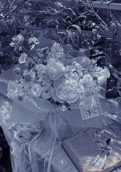 ２４３４　✧︎　短編集