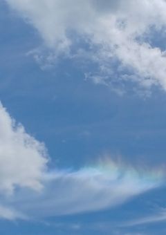 腐った僕らの青春【参加型】　