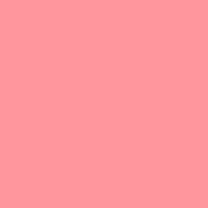 ねうさんのアイコン画像