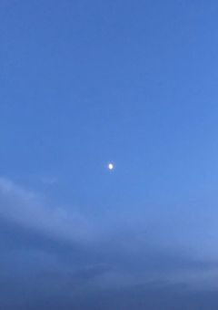 　恋人 、 死んだ件 。 【 mmlt 】