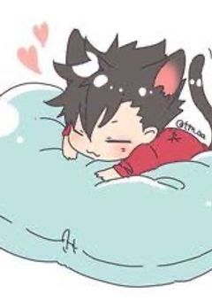 気がついた時には、君だった 《黒尾鉄朗》