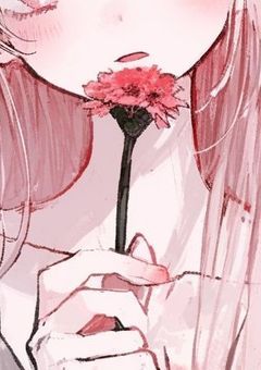 ガーベラの花を頂戴［募集中］