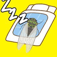 食べたダメ45℃さんのアイコン画像