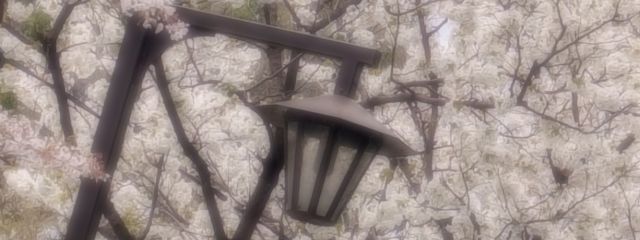 ぱすたさんの壁紙画像