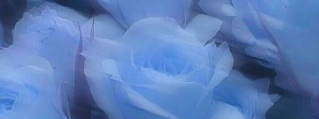 .⋆𝜗𝜚さんの壁紙画像