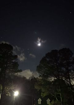 @b1 .com ; ﾎﾗｰ