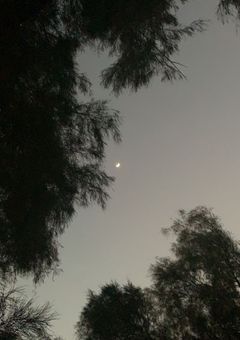 拝啓 ＿ 俺だけに見える君へ