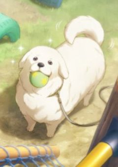 キャラ無視して出来た漫才セカLINEさ☆〜ツッコミ力を鍛えよ〜