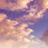 carat  1130さんのアイコン画像