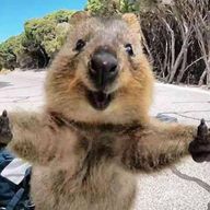 koko🥞🐼@創作BL書いてます〜さんのアイコン画像