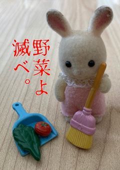 ざつだーーん