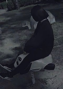 色 の な い 世 界 で