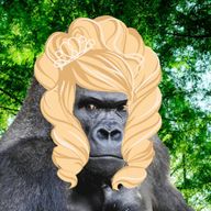 金髪ゴリラ(バカ)さんのアイコン画像
