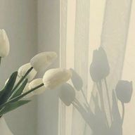 BE:SECONDさんのアイコン画像