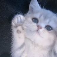 山崎さんのアイコン画像