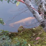 主さんのアイコン画像