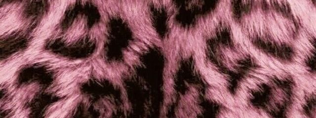 日葵さんの壁紙画像