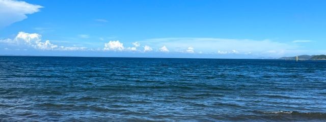 はむさんの壁紙画像