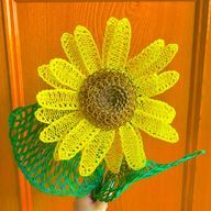 はむさんのアイコン画像