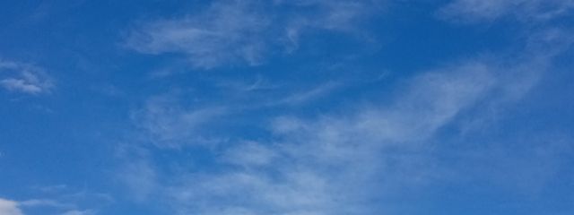 水クラゲさんの壁紙画像