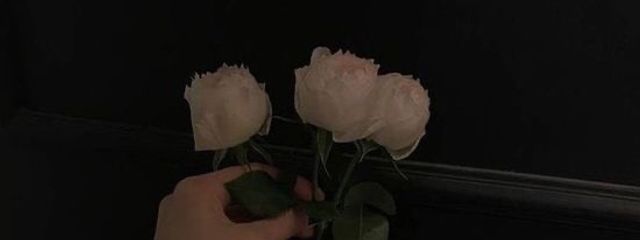 なきむしおばけ 🦅⚣さんの壁紙画像