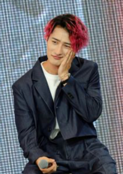 ８匹の狼とヤンキー照ちゃんのお話