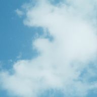 くるみんご🦭さんのアイコン画像