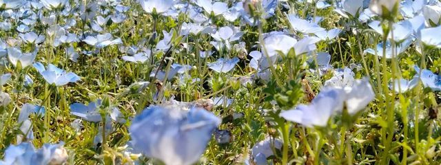 星空さんの壁紙画像