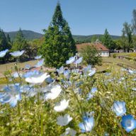 星空さんのアイコン画像