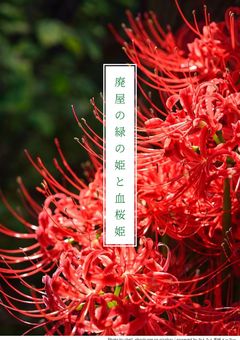 廃屋の緑の姫と血桜姫